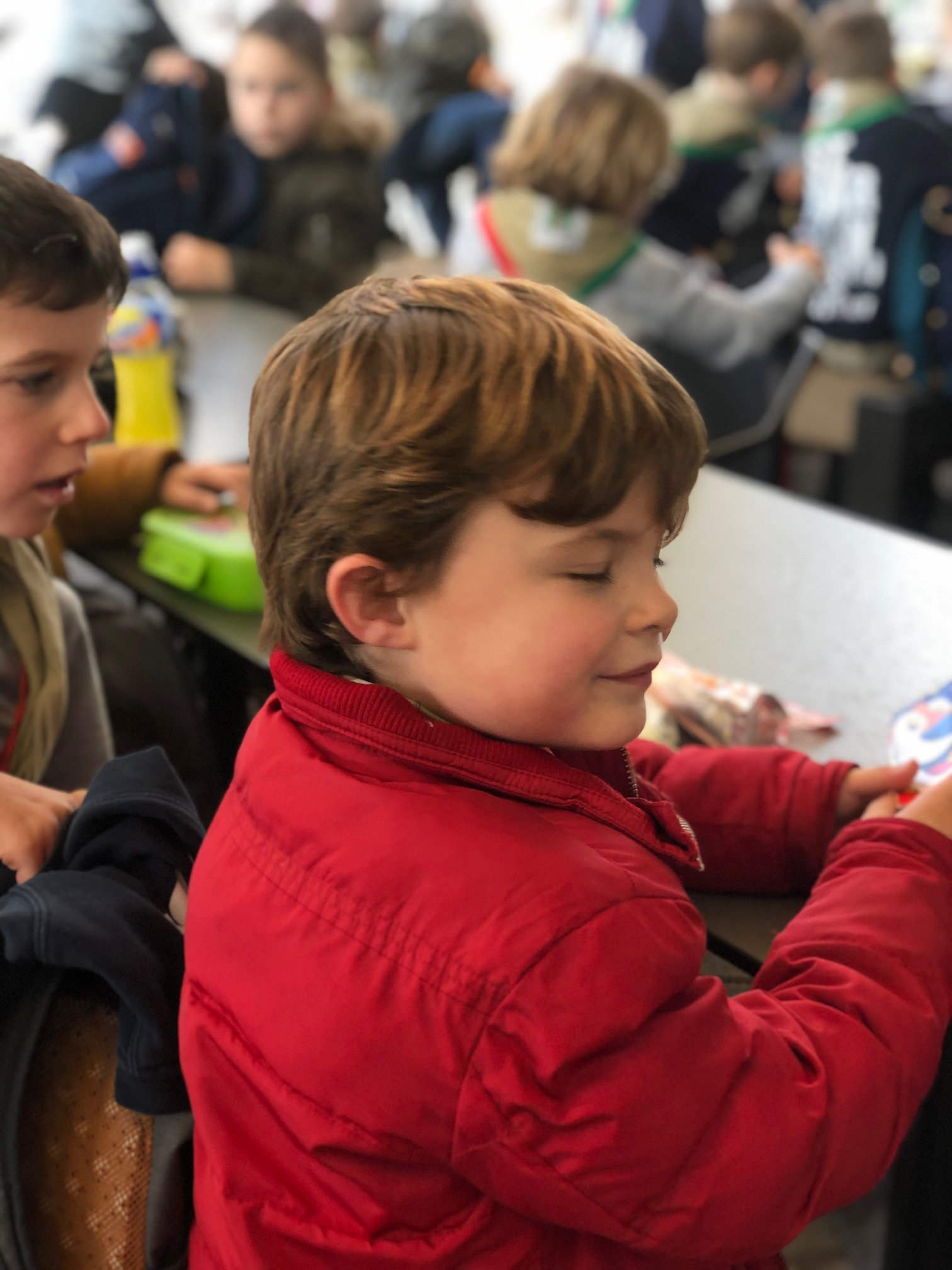 Sint-Martinus den XIIde - Zoo Antwerpen Kapoenen